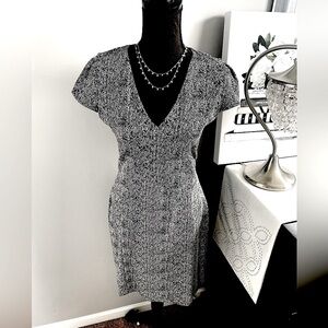 Fitted Express Chevron Dress